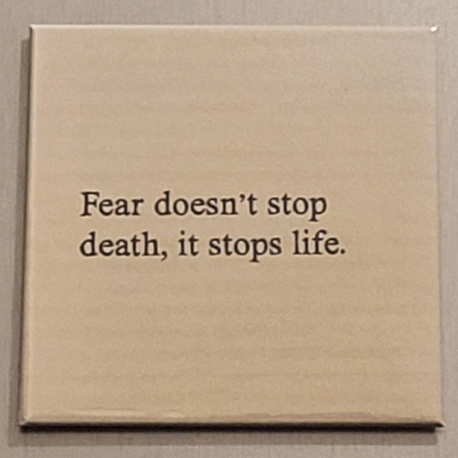 Kant-en-klaar: Fear doesn't stop death, it...